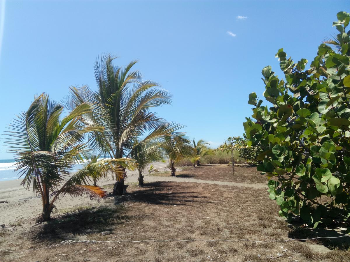 B&B Le Villette Las Lajas 外观 照片